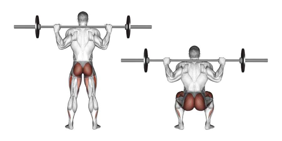 Duas ilustrações anatômicas de um modelo masculino realizando um back squat: uma em posição de pé e outra agachada, ambas destacando os grupos musculares ativados durante o exercício, incluindo glúteos, isquiotibiais e quadríceps.